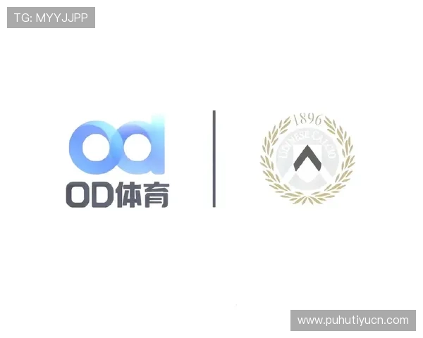 OD体育真人版全站登录常见问题解答帮助用户快速解决登录过程中遇到的各种疑问