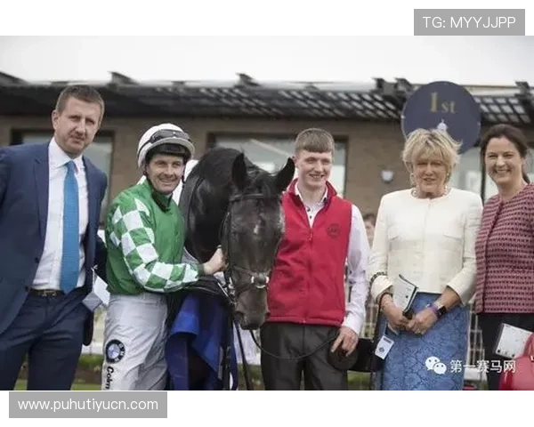 顶盛体育的品牌影响力如何改变体育赛事的商业模式